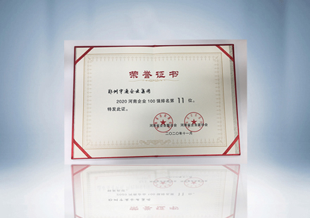 2020河南企业100强(排名第11位)